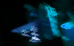 blue note